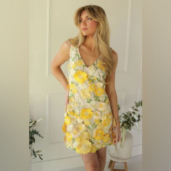 ASTR The Label Aisha Floral Appliqué Mini Dress S - Picture 2 of 9